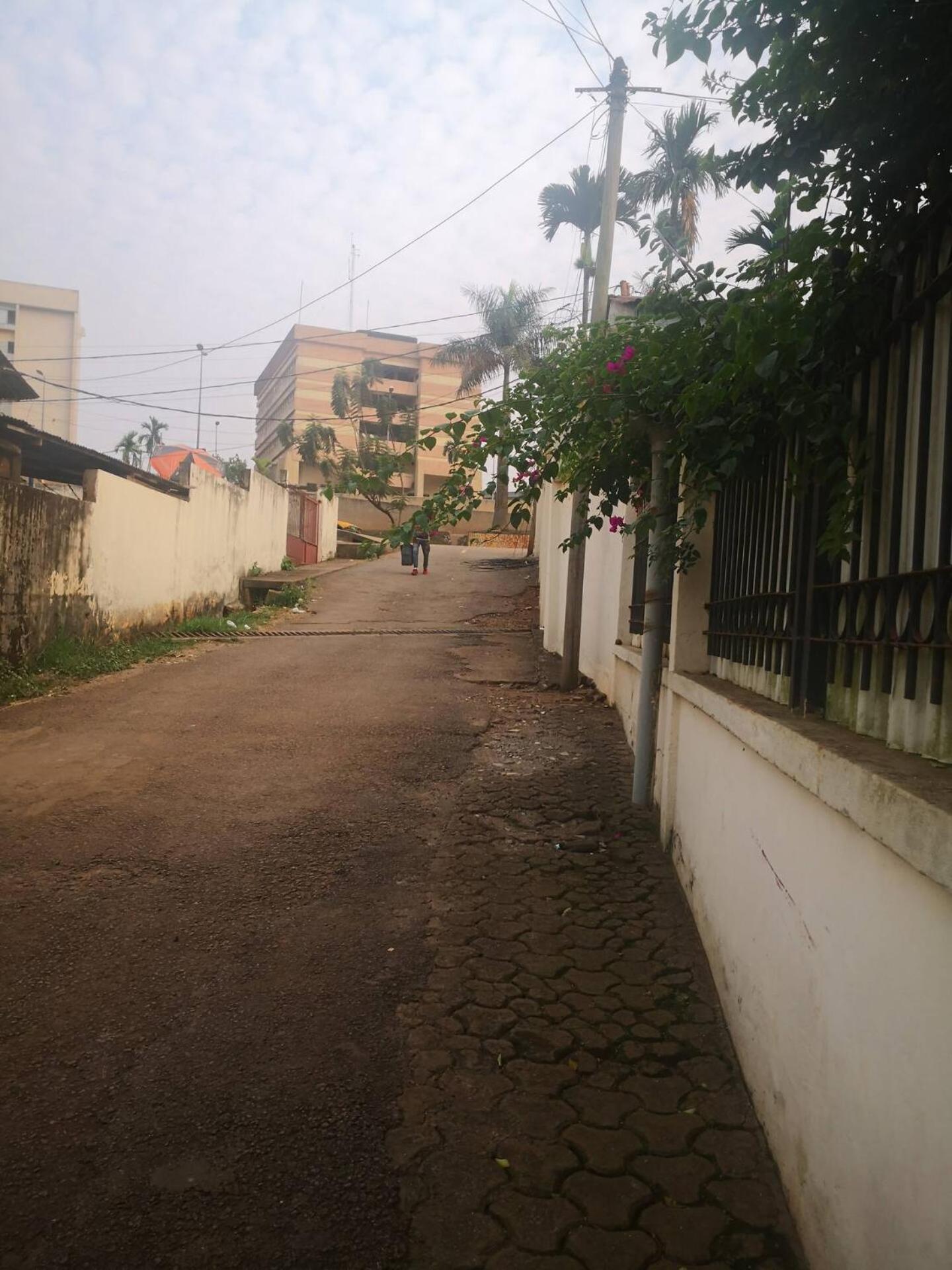 Tout Confort Avec Jardin Entree Bastos Yaoundé Exterior foto